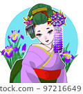 戴著鳶尾花髮夾的舞妓 97216649