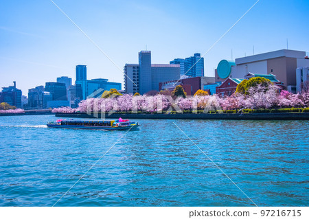 Cherry blossoms and Okawa at Kema Sakuranomiya Park 97216715