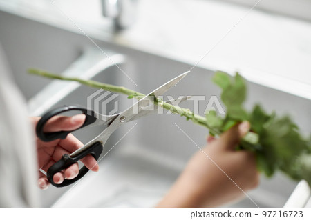 Hands of woman cutting flower stem above kitchen sink 97216723