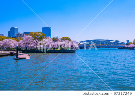 Cherry blossoms and Okawa at Kema Sakuranomiya Park 97217249
