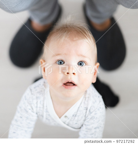 Top down view of cheerful baby boy infant taking first steps holding to father's sweatpants at home. Cute baby boy learning to walk. 97217292