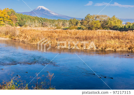 (Shizuoka Prefecture) Parent and child spot-billed ducks in the Kano River and Mt. Fuji 97217315