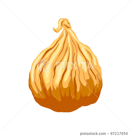 fig fruit dry cartoon vector illustration fig fruit dry cartoon vector illustration 97217850