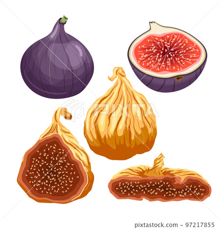 fig fruit fresh set cartoon vector illustration fig fruit fresh set cartoon vector illustration 97217855