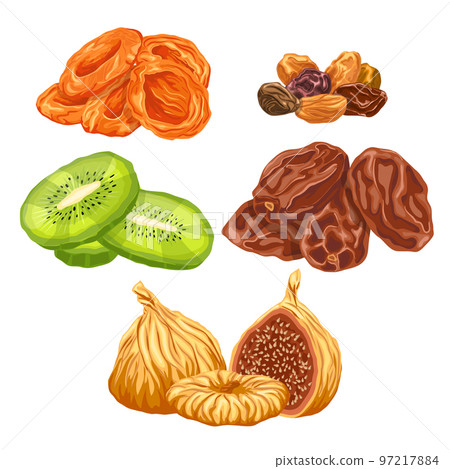 dried fruit food set cartoon vector illustration 97217884