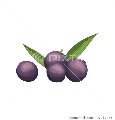acai food fruit cartoon vector illustration 97217963