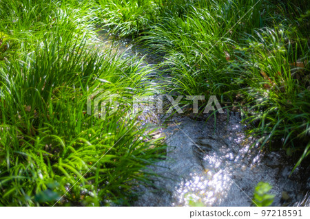 Spring brook 97218591