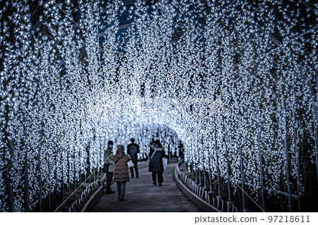 栃木縣足利市足利花卉公園 Hikari no Hana Niwa 的燈飾 97218611