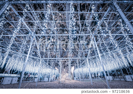Illuminations at Ashikaga Flower Park Hikari no Hana Niwa, Ashikaga City, Tochigi Prefecture 97218636