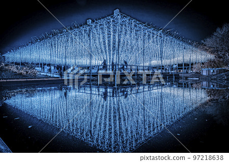 Illuminations at Ashikaga Flower Park Hikari no Hana Niwa, Ashikaga City, Tochigi Prefecture Illuminations at Ashikaga Flower Park Hikari no Hana Niwa, Ashikaga City, Tochigi Prefecture 97218638