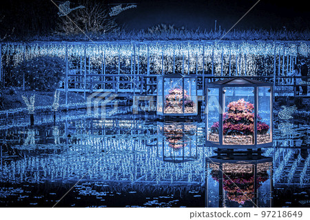 Illuminations at Ashikaga Flower Park Hikari no Hana Niwa, Ashikaga City, Tochigi Prefecture 97218649