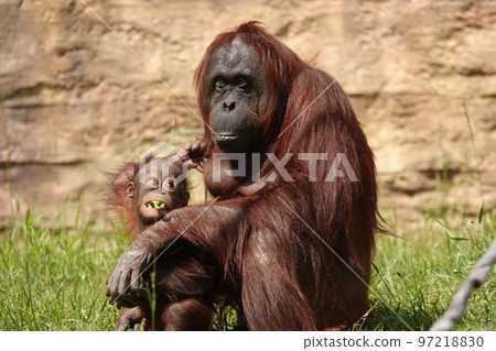 吃飯時眼睛上翹 97218830