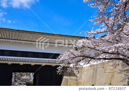 櫻花觀大阪城大手門 櫻花觀大阪城大手門 97218937