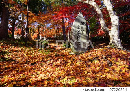 Wide-angle low-angle view of the Japanese maple approach to Shoboji Temple in Kyoto 97220224