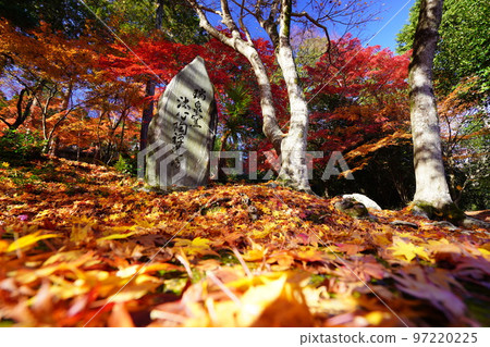 京都正法寺日本楓林近景廣角低視角 97220225
