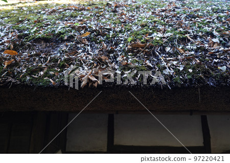 Thatched roof 97220421