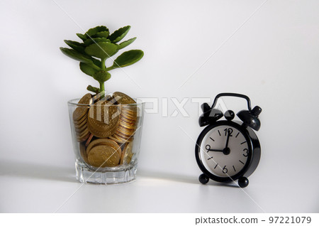 Growing plant on gold coins in a glass with alarm clock. Copy space and investment concept. 97221079