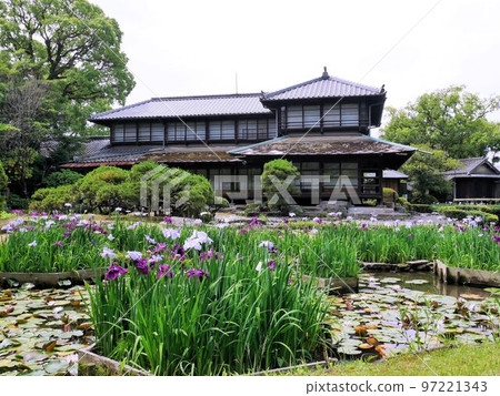 Shohinken building and tea garden (Yatsushiro City, Kumamoto Prefecture) Shohinken building and tea garden (Yatsushiro City, Kumamoto Prefecture) 97221343