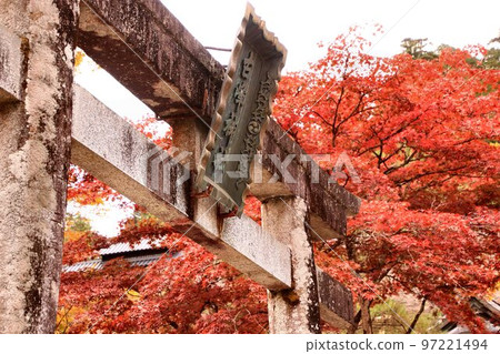 天狗居住的神社:秋天的鹿沼和古峰原【古峰神社】 天狗居住的神社:秋天的鹿沼和古峰原【古峰神社】 97221494