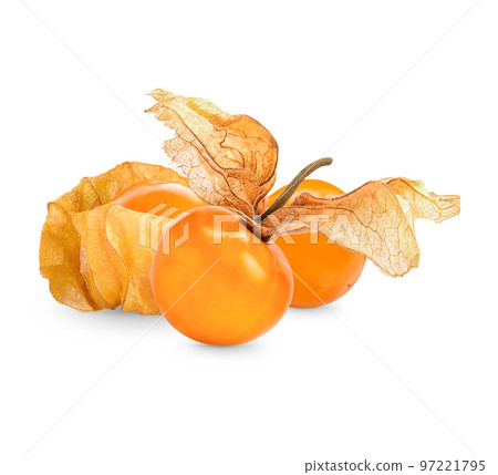 Cape gooseberry, physalis isolated on white background Cape gooseberry, physalis isolated on white background 97221795
