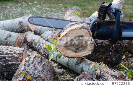 Chain saw operation. A worker cuts logs for firewood with a chain saw. Chain saw operation. A worker cuts logs for firewood with a chain saw. 97222286