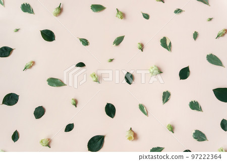 Abstract trendy pastel beige background with flower buds, leaves, petals. Natural floral texture. Pattern backdrop with flowers. Beauty layout. Summer, aroma water concept Abstract trendy pastel beige background with flower buds, leaves, petals. Natural floral texture. Pattern backdrop with flowers. Beauty layout. Summer, aroma water concept 97222364