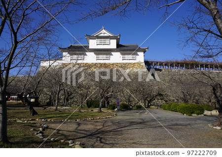 "Tsuruyama Park (Tsuyama Castle Ruins)", one of the top 100 cherry blossom spots in Tsuyama City, Okayama Prefecture: Looking up at Bicchu Turret from Ninomaru 97222709