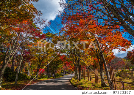 <<Nagano Prefecture>> Hiratani Village, Shimoina District, National Route 153, Jibusaka Pass, Mountains of autumn leaves <<Nagano Prefecture>> Hiratani Village, Shimoina District, National Route 153, Jibusaka Pass, Mountains of autumn leaves 97223397