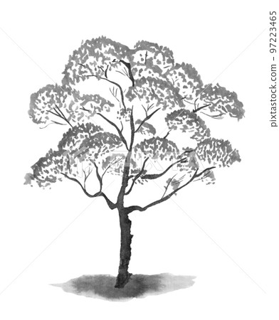 一棵樹的單色插圖（墨水手繪插圖） 97223465