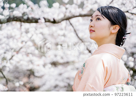 盛開的櫻花和穿著和服的女人 Sakura Spring 97223611