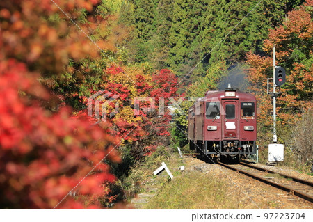 渡良瀨溪谷鐵道“山間的紅黃綠樹和火車” 渡良瀨溪谷鐵道“山間的紅黃綠樹和火車” 97223704