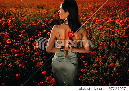 Portrait of a girl in a dress on a poppy field at sunset 97224057