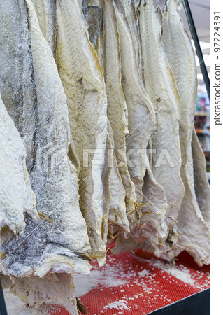 Salted dried cod bacalao on the counter of a fish store. Traditional Portuguese and Scandinavian sea fish dish Salted dried cod bacalao on the counter of a fish store. Traditional Portuguese and Scandinavian sea fish dish 97224391