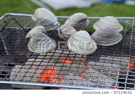Charcoal-grilled clams at a campsite meal 97224638