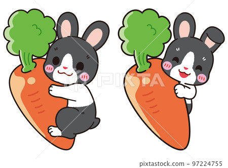 Cute Dutch rabbit sticking to carrot 97224755