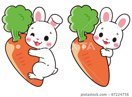 可愛的小白兔粘著胡蘿蔔 97224756