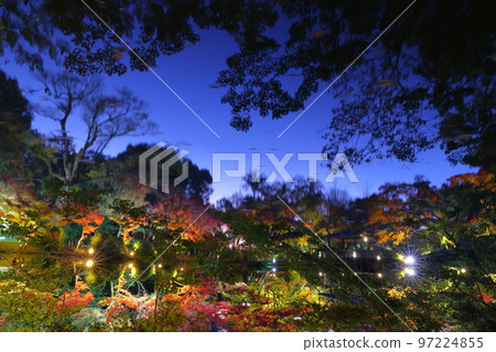 夜晚的紅葉（京都植物園） 97224855