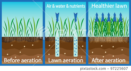 Aeration of the lawn. Enrichment with oxygen water and nutrients to improve lawn growth. Before and after aeration: gardening, lawn care services. Advantages, aeration 97225607