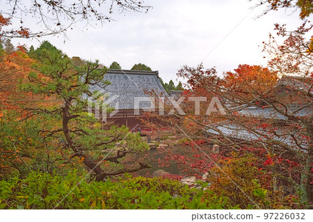Shiga Kudara Temple Autumn scenery of Honbo garden 97226032