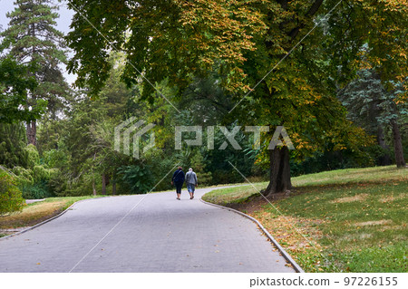 Cute couple of lovers walking in autumn park 97226155