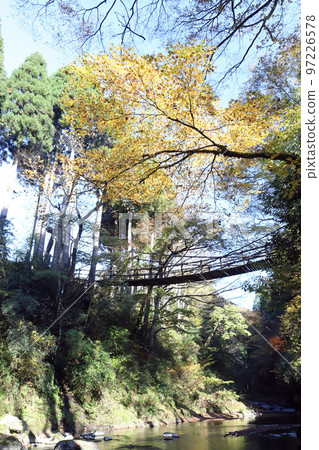 越前池田町（福井縣池田町）的一橋 97226578