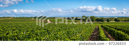 Sunset landscape bordeaux wineyard france, europe Nature Sunset landscape bordeaux wineyard france, europe Nature 97226833