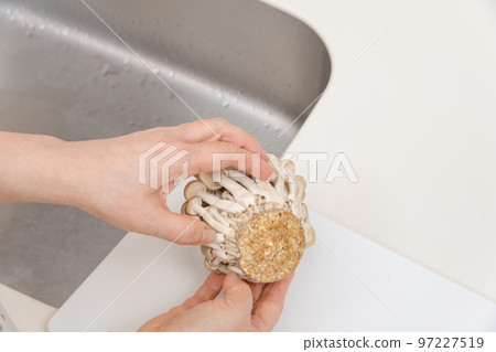 [A middle-aged housewife looks at Shimeji's stone] 97227519