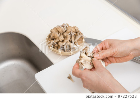 [A middle-aged housewife splits a maitake] 97227528