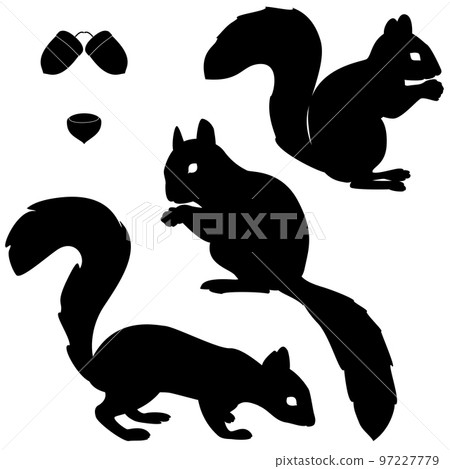 Set of squirrels silhouettes 97227779