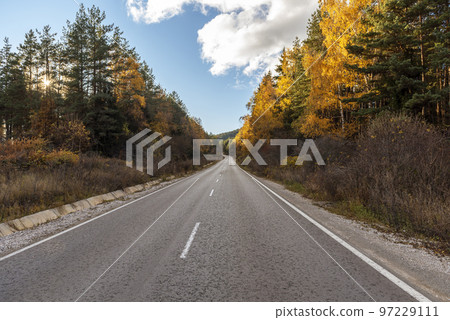 Asphalt road with beautiful trees on the sides in autumn. Asphalt road with beautiful trees on the sides in autumn. 97229111