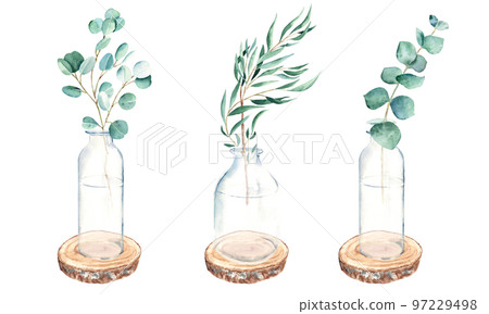 Eucalyptus branches in vases, jar, bottles on round wooden saw cuts. silver dollar, willow, true blue. Watercolor hand drawn botanical illustration isolated on white background. Eco minimalistic style Eucalyptus branches in vases, jar, bottles on round wooden saw cuts. silver dollar, willow, true blue. Watercolor hand drawn botanical illustration isolated on white background. Eco minimalistic style 97229498