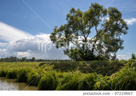 Bata Canal from a boat, Czechia / Slovakia Bata Canal from a boat, Czechia / Slovakia 97229667