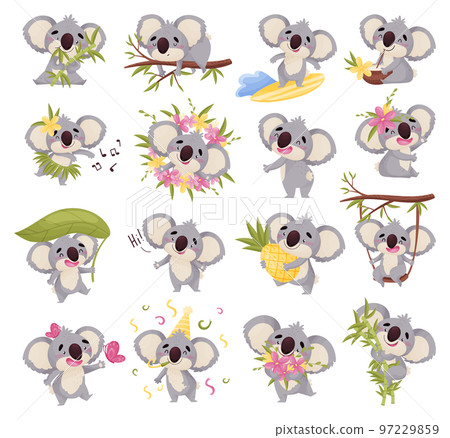 Adorable Koala Character with Large Ears in Various Actions Big Vector Set 97229859