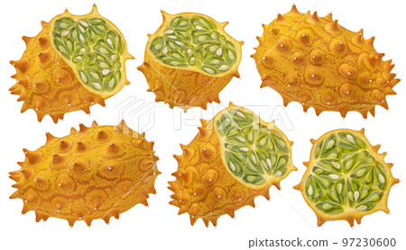 Kiwano isolated on white background with clipping path, collection Kiwano isolated on white background with clipping path, collection 97230600